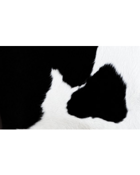 Парикмахерское кресло "Mu-Mu"