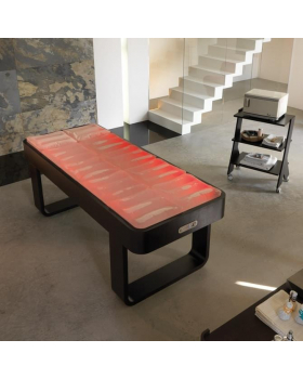 Кушетка массажная "Spa Dream W"